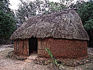 Mayan-Homes