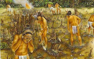 Mayan-People-Farming