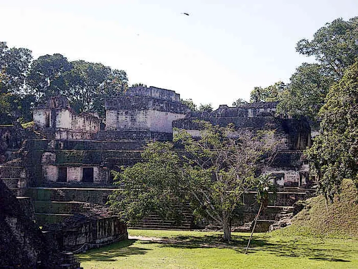 Ancient Mayan City Tikal Central Acropolis Seen Across the Great Plaza