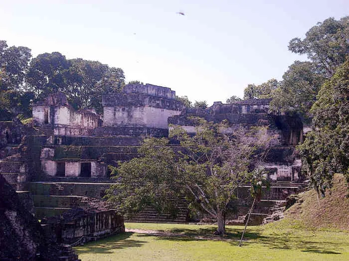 The Central Acropolis seen across the Great Plaza Tikal Ruins